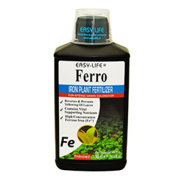 Ferro